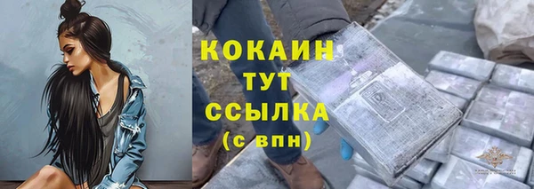 гашик Гусь-Хрустальный