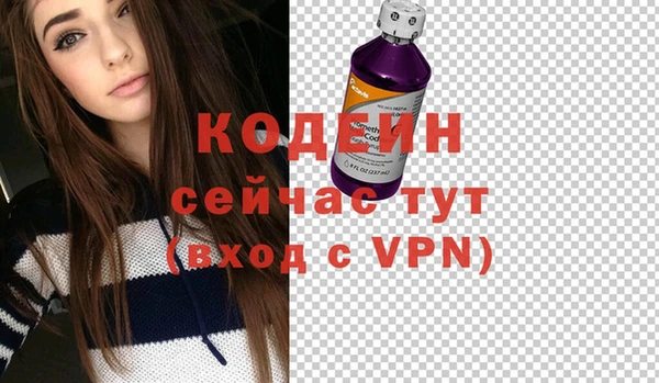метадон Гусев