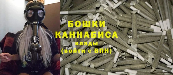 гашик Гусь-Хрустальный