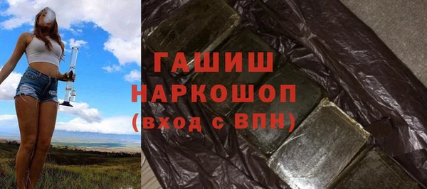 гашик Гусь-Хрустальный