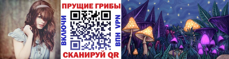 Купить закладки  Ртищево  Галлюциногенные грибы прущие грибы 